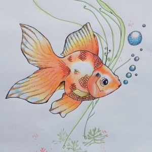 Gold Fish