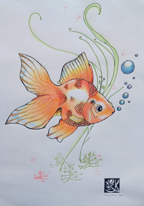 Gold Fish